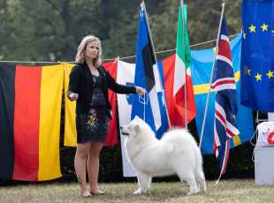 2021 Euroshow Abigail